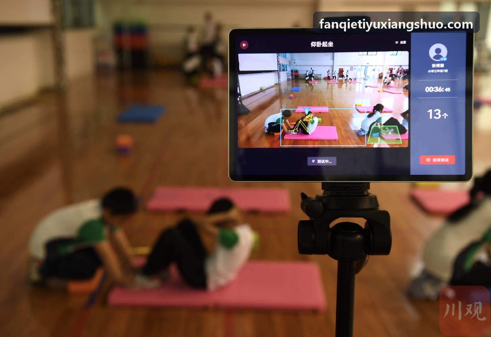 FANQIETIYU参与行业白皮书编制